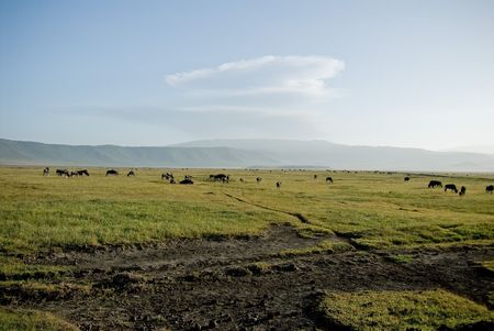 Ngorongoro Craterの写真素材