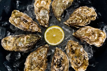 oyster with lemon