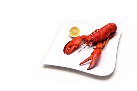 lobster on a plateの写真素材