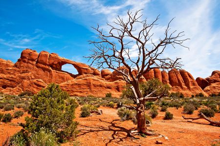 Arches National Park の写真素材