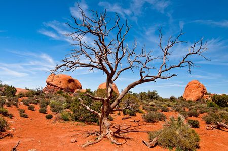 Arches National Park の写真素材