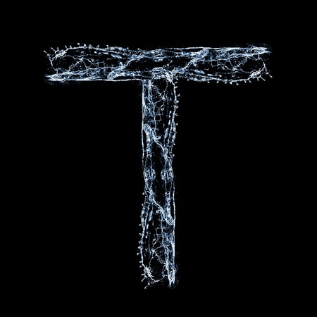 T - Fontの写真素材