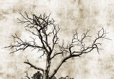 Grunge treeの写真素材