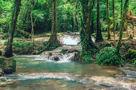 travel destination waterfall in a green forest with a lot of trees discover places, abandoned place into the wood, with a copy spaceの写真素材