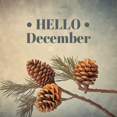 Pine tree branch with cones and text Hello December on grunge backgroundの素材