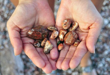 Handfull Of Lake Superior Agates