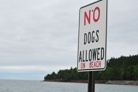 Angled No Dogs Allowed On Beach Signの写真素材