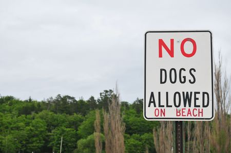 Straight On View Of No Dogs Allowed On Beach Signの写真素材