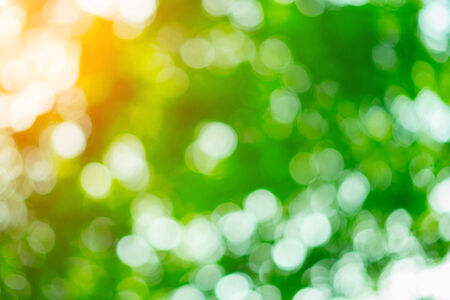 Beautiful bokeh bright greenの写真素材