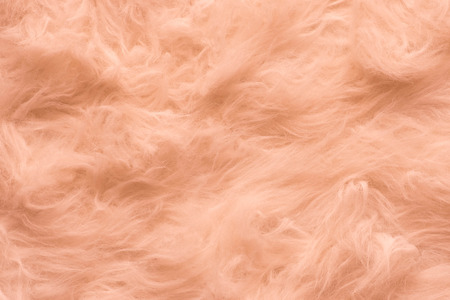 Cotton Wool Texture