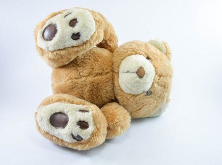 brown teddy bear isolated の写真素材