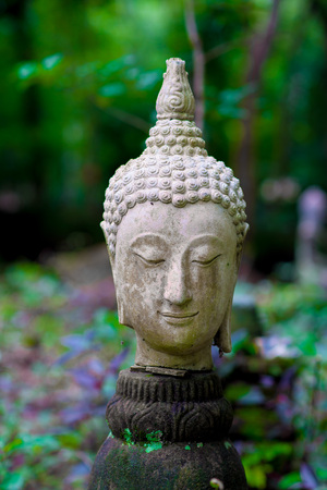 Ancient Head Buddha statue in Wat Umongの写真素材