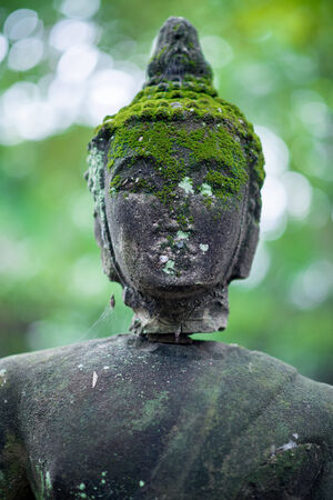 Ancient Head Buddha statue in Wat Umongの写真素材
