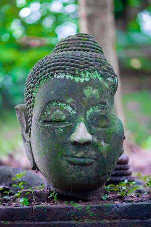 Ancient Head Buddha statue in Wat Umongの写真素材