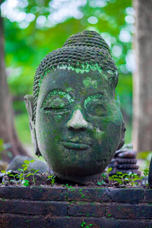 Ancient Head Buddha statue in Wat Umongの写真素材
