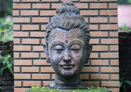 Ancient Head Buddha statue in Wat Umongの写真素材