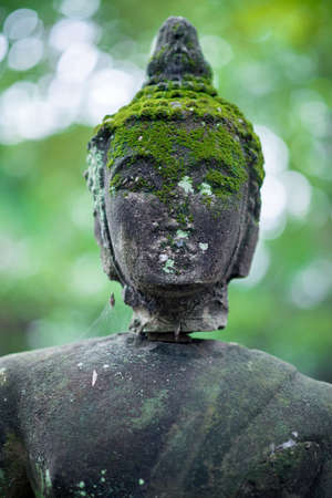 Ancient Head Buddha statue in Wat Umongの写真素材