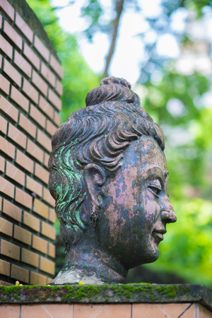 Ancient Head Buddha statue in Wat Umongの写真素材