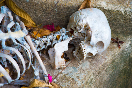 Skeleton lying in   Halloweenの写真素材