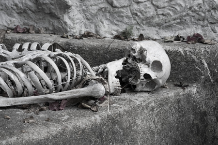 Skeleton lying in   Halloweenの写真素材