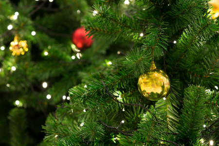 Christmas tree with decoration, detail Christmas tree in garden