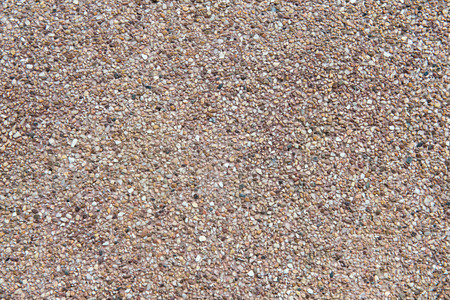 background of fine sandy shell close-upの写真素材