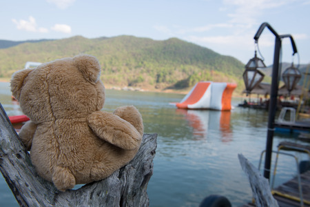 Teddy bear on holidayの写真素材