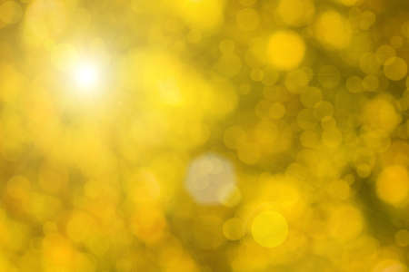Sunny abstract green nature background, selective focusの写真素材