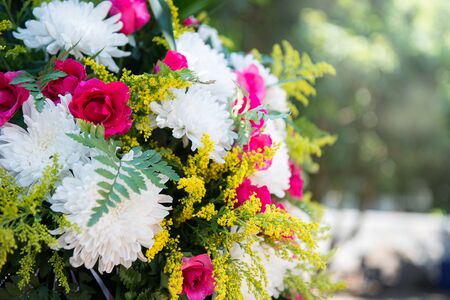 Flower with bokeh, flowers for wedding.の写真素材