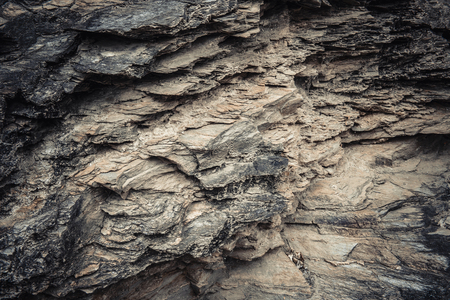 The Petrified Wood Texture Background, Petrified woodの写真素材