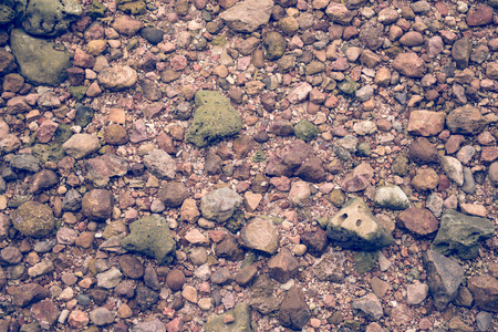 Shellfish platform. Many shells are deposited and make a amazing,Abstract fossil shell texture backgroundの写真素材