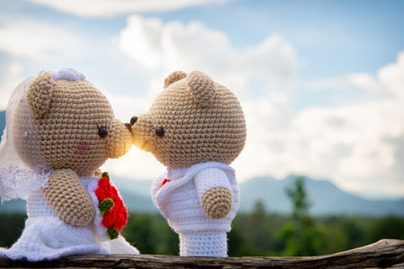 Teddy Bear Weddingの写真素材