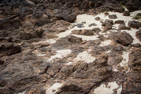 Sand and stone by the seaの写真素材