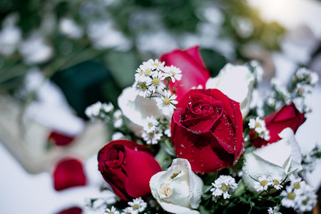 Wedding flowers Bouquet of fresh roses, flower bright background pink red roseの写真素材