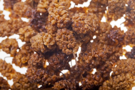 Dried mulberries, isolated on a white backgroundの写真素材