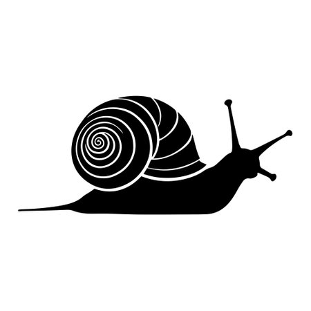 Snail icon. Simple illustration of snail vector icon for web design isolated on white backgroundのイラスト素材