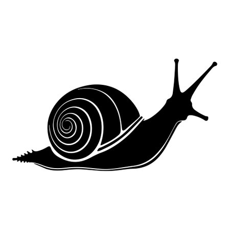 Snail icon. Simple illustration of snail icon for web design isolated on white backgroundのイラスト素材