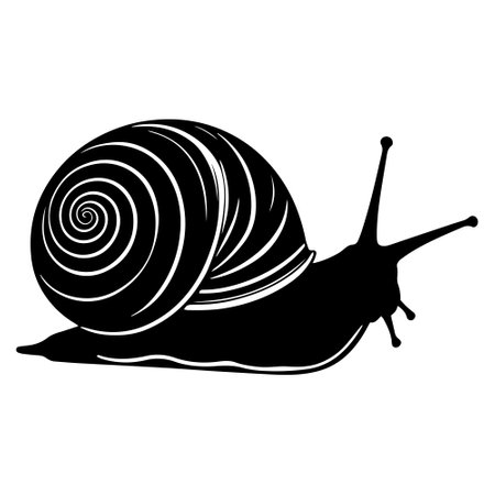 Black silhouette of a snail on a white background. Vector illustration.のイラスト素材