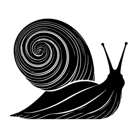 Snail black silhouette isolated on white background. Vector illustration for your designのイラスト素材