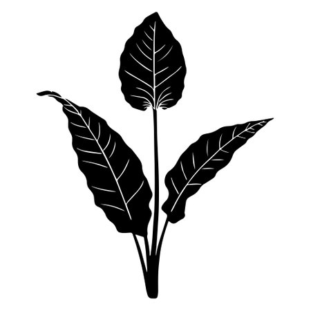 tropical leafs plant ecology icon vector illustration design vector illustration designのイラスト素材