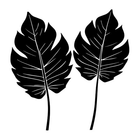 tropical leaves icon over white background, vector illustration. black and white designのイラスト素材