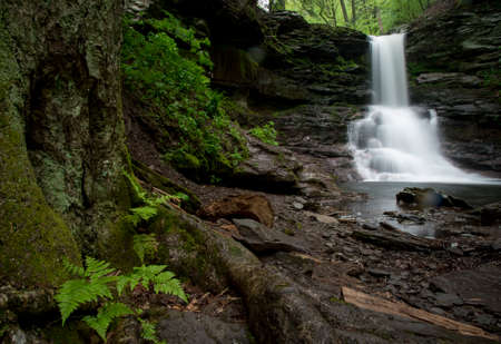 A long exposure of a scenic waterfall landscape in a bright green spring forest.の写真素材