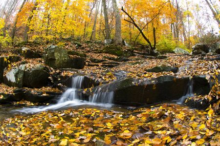 A small waterfall surrounded by bright fall colors.