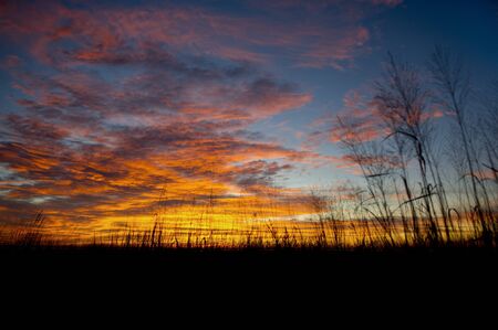 A brilliant sunrise lights up many colorful clouds with tall grasses in the foreground.
