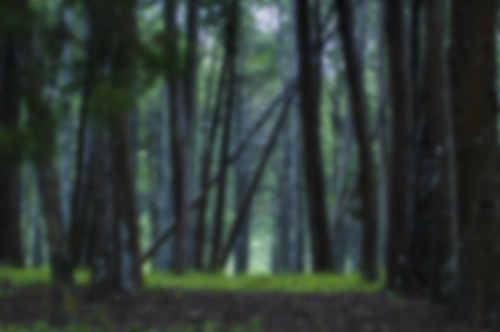 blurred backgroundの写真素材