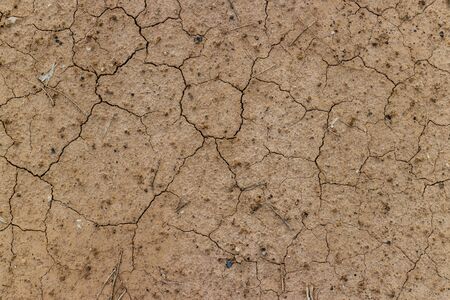 dried and cracked ground surface