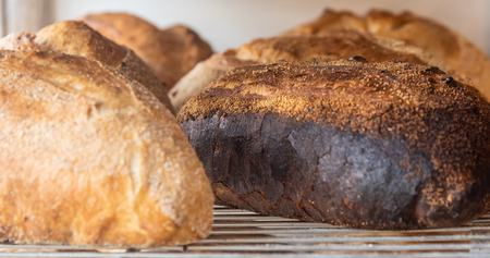 close up rye bread on a cooling rackの写真素材