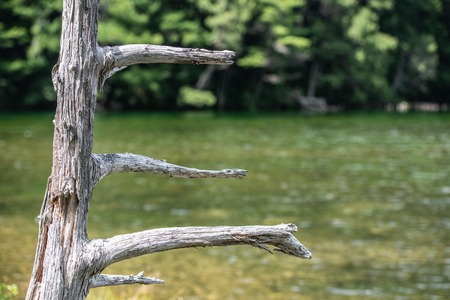 the Chubu Sangaku National Parkの写真素材