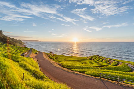 Beautiful Sunset View of Senmaida Rice paddy terrace Wajima Ishikawa Japanの写真素材