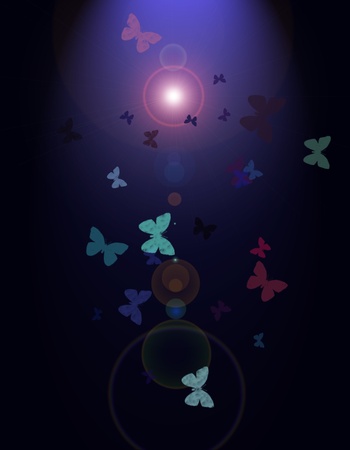 butterflies flying to the sunの写真素材